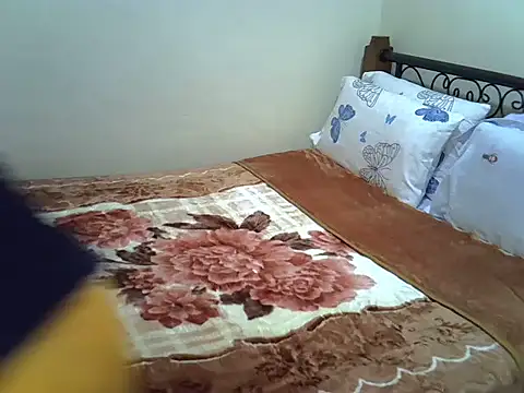 Sweet_Bear live