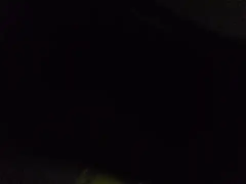 yourMasterisBored live