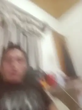 pelukeitor live