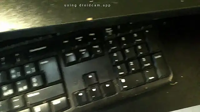 realwebcam live
