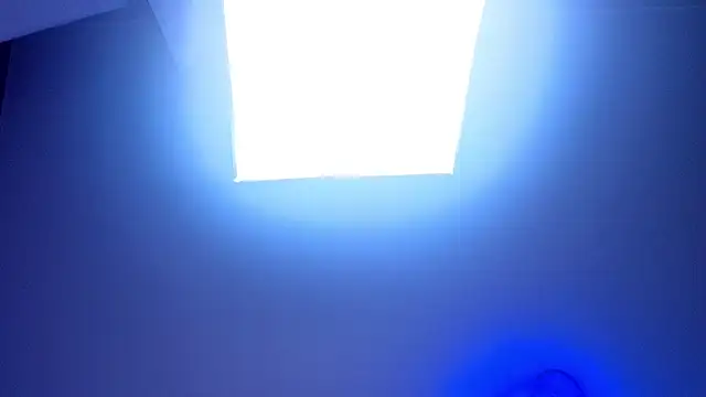 KittieHeart live