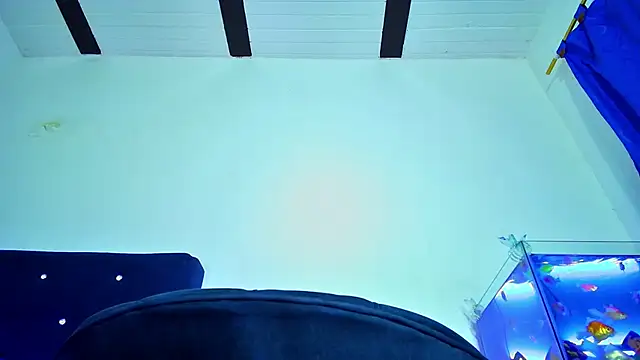 Aliice_Doll live