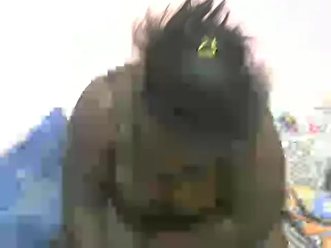 Wild_Ass- live