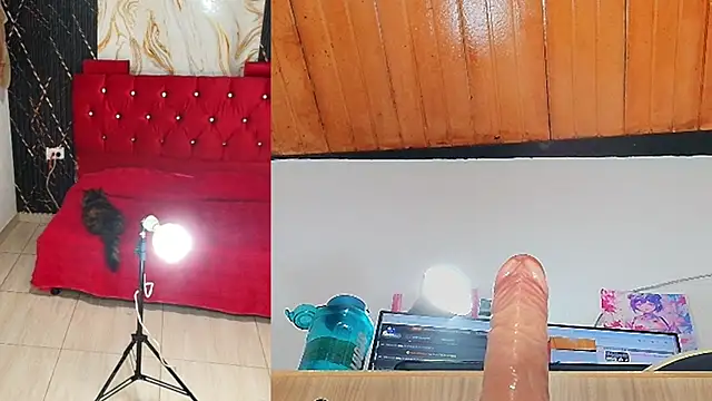 aisha_funny live