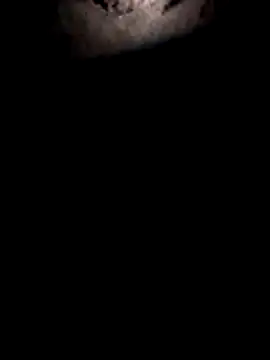 Jackdick1313 live