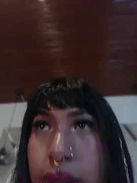 MeelFox live
