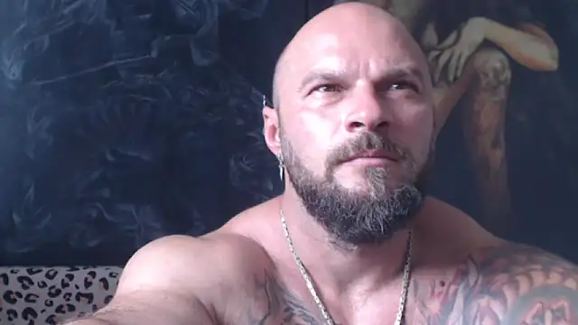 viking_30 live