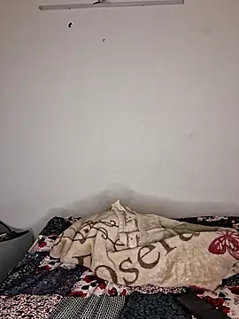 rohit_punjab live