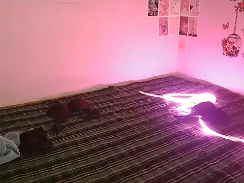 Niya_thakur live