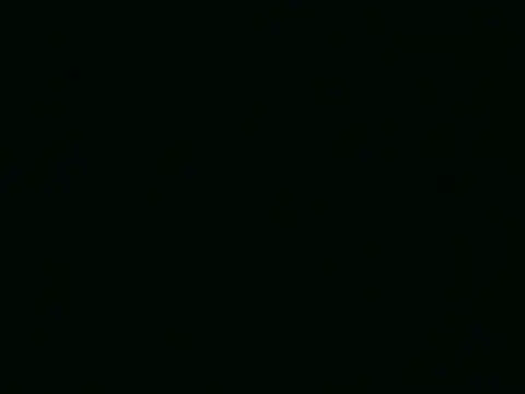 curvy_kittie live