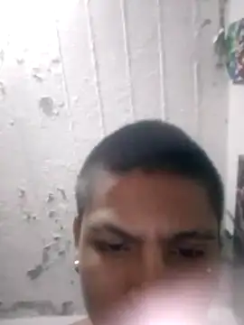 perloon live