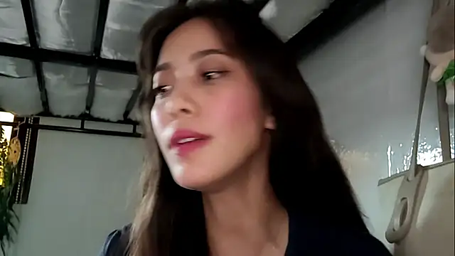 HaMeschino profile