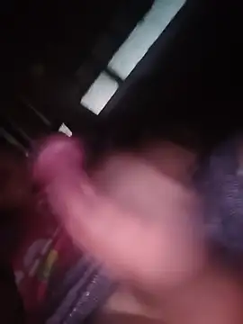 tripexnte live