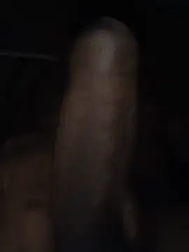 fernandowall live