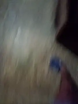 Alfredoloza live