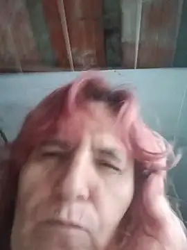 martinhapimenta live