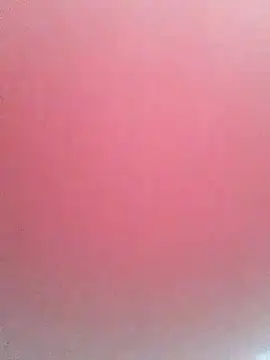 pricilanunes live