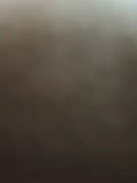 newtube0 live