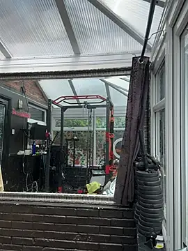 AlexandraWildd live