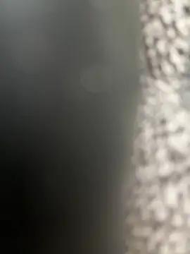 Bella-Tight live