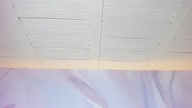 Nova_Aura live