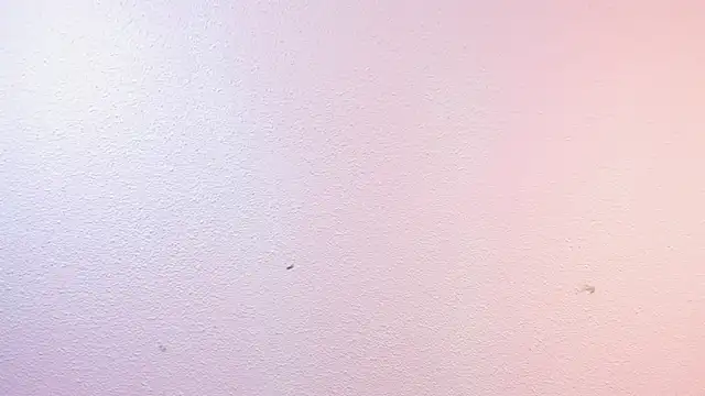 Velvet_Dreamss profile