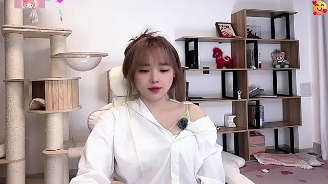 SakuraCat6 live
