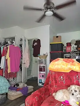 SexyNikki6969 live