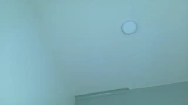 LexaDominant__ live