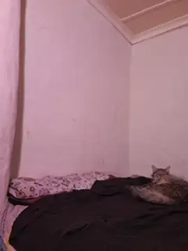 RandySandy007 live