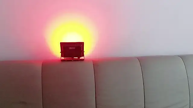 Amy_darki live