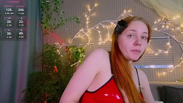PollyVinice live