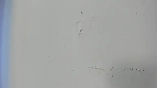 angela_nix live