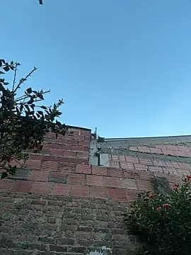 Emily_Gomezz live