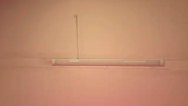 mia_adams_bm live