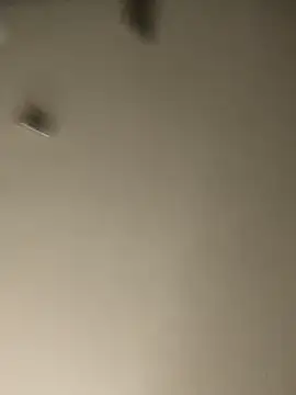 leenachanel live