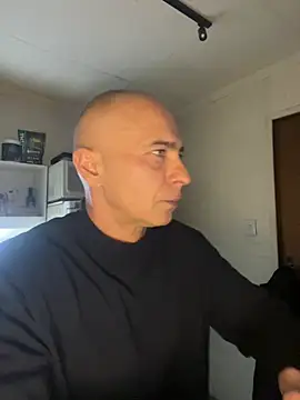 dogfrota live