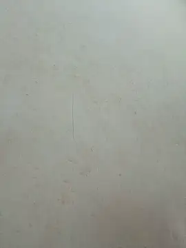 Baoduyen456789 live