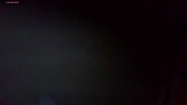 the_dog_lian live