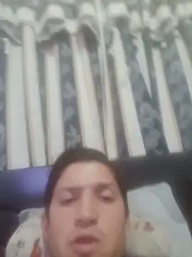 pelukeitor live