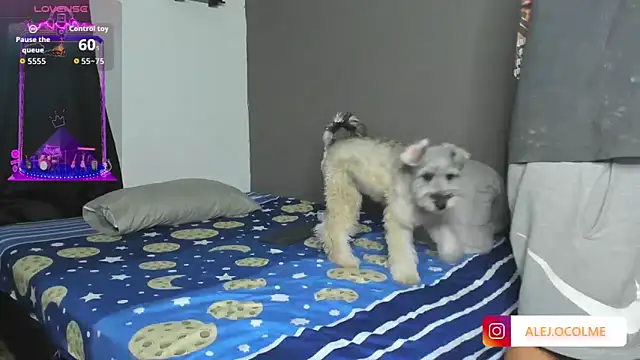 jacob_firexx live