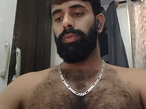 indianhairybull live