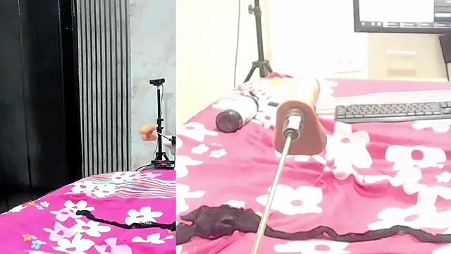 sofi_boll25 live