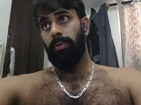 indianhairybull live