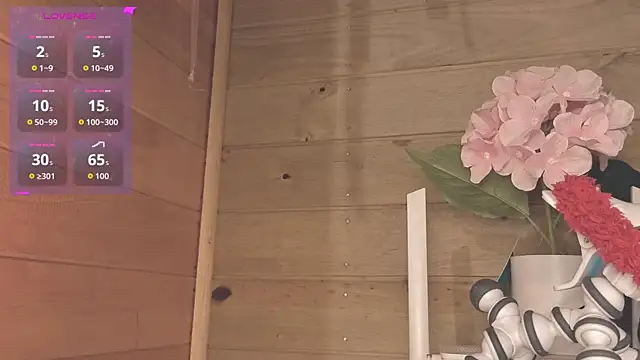vickvalencia2 live