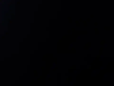 Loving_gaur live