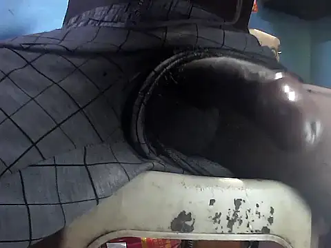 Precumking1 live