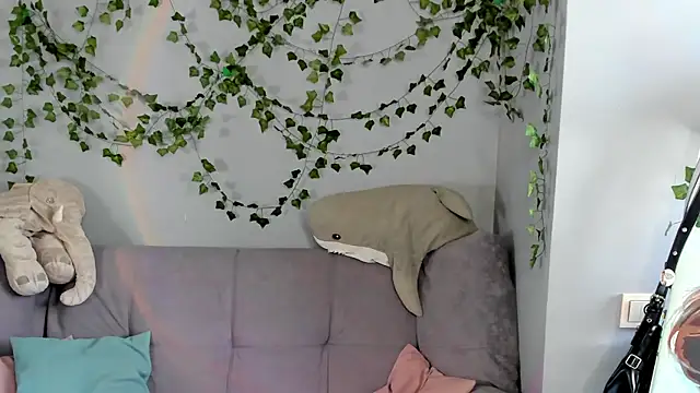 Mira-Werner live