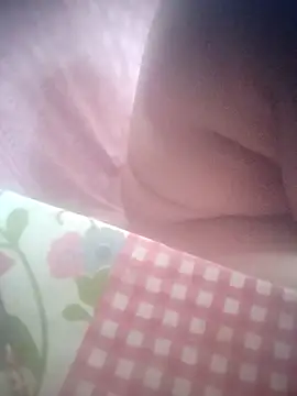 8414033011___- live