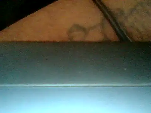 Nice_n_hairy580 live